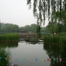 Chong Chen Photo 31