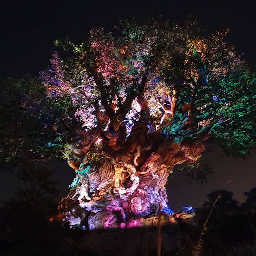 Jonathan Bailey Photo 24