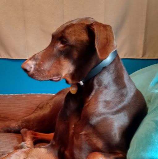 Donna Summers Photo 22