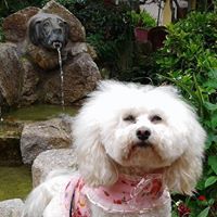 Laura Lamar Photo 41