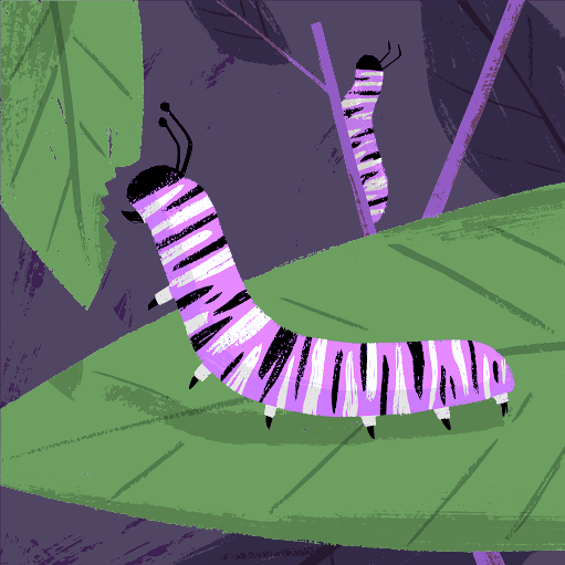 Muhammad Umair Photo 17