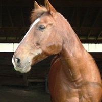 Terry Everett Photo 44