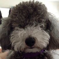 Judith Wolf Photo 18