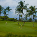 David Mattingly Photo 48