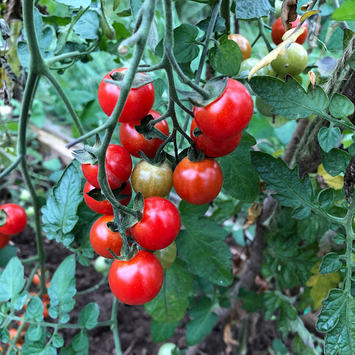 Jill Sharp Photo 23 Jill Sharp Photo 23