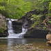 Elizabeth Ricketts Photo 31