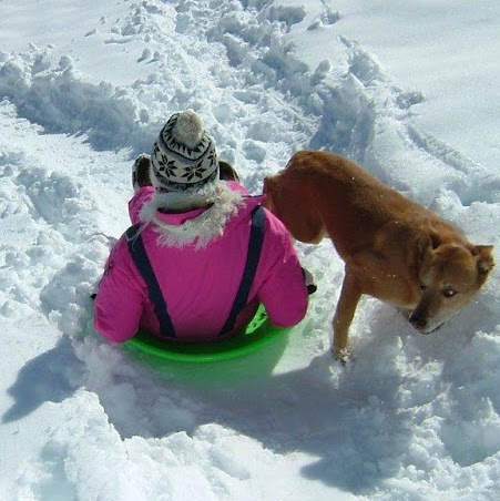 Joyce Kirkpatrick Photo 35