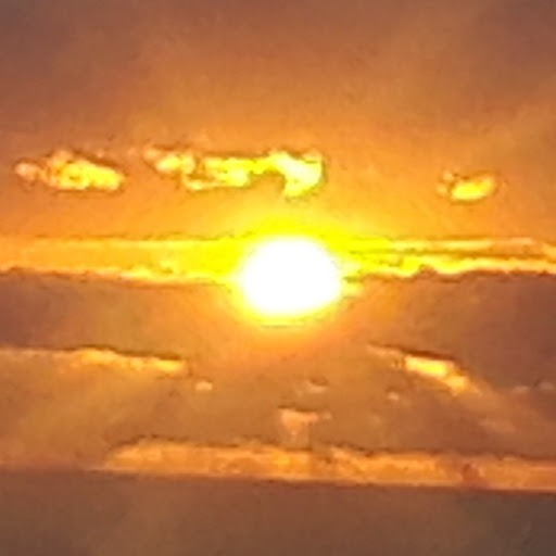 Laura Harper Photo 27