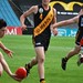 Carl Nicholson Photo 17