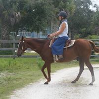 Debra Purdy Photo 14