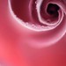 Sue Ray Photo 38