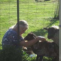 Linda Johns Photo 30
