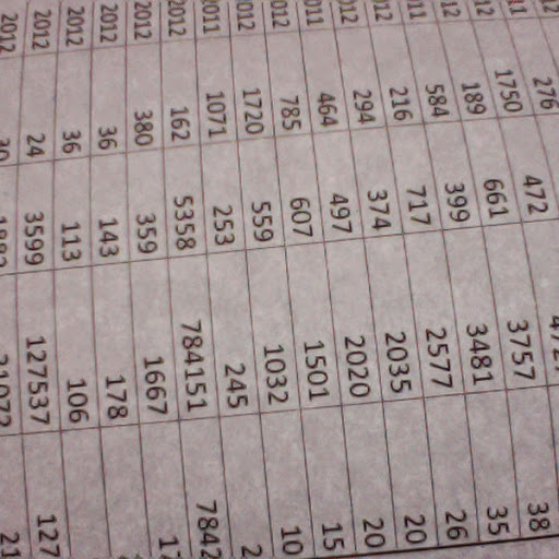 Jesse Anderson Photo 42