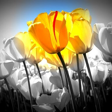 Louise Cooke Photo 30