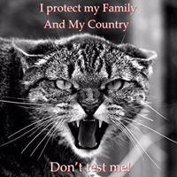 Thomas Baugh Photo 23