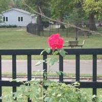 Christopher Pritchett Photo 9