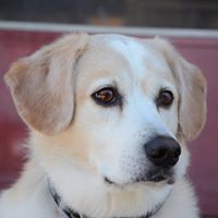 Betsy Webster Photo 8