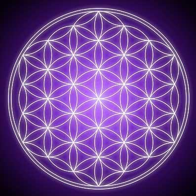 Sean Paradise Photo 12