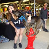 Carla Hamilton Photo 20