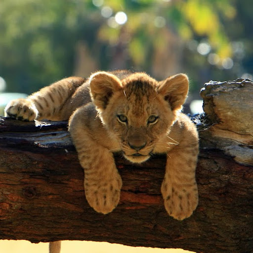 Annie Lyons Photo 24