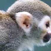 Zachary Miller Photo 26