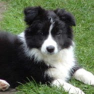 Elizabeth Childers Photo 16