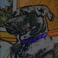 Charles Stokes Photo 34