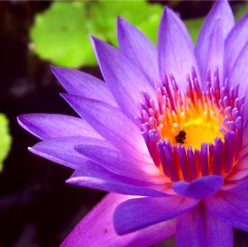 Charlotte Davis Photo 22