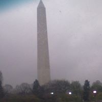 Terrell Simms Photo 9