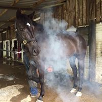 Chris Eldridge Photo 21