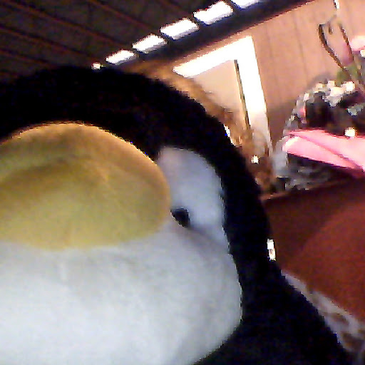 Jennifer Westfall Photo 17