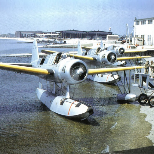 Scott Draper Photo 45