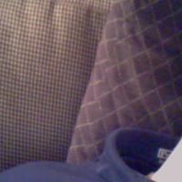 Joe Comito Photo 6