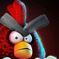 David Ratliff Photo 21 David Ratliff Photo 21