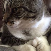 Nicholas Fulton Photo 19