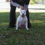 Jason Spivey Photo 12