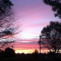 Dennis Browning Photo 11