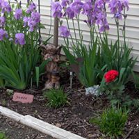 Michelle Elston Photo 19