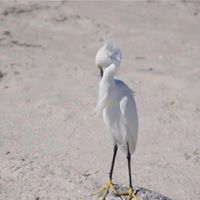 Joseph Pardue Photo 8