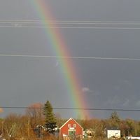 Paulette Rose Photo 15