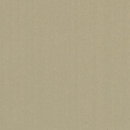 Araceli Munoz Photo 8