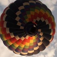 Carol Talbert Photo 11