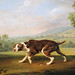 George Stubbs Photo 15