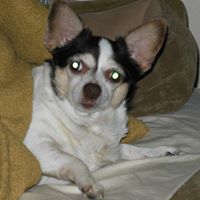 Susan Crocker Photo 31