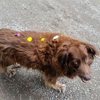 Stephanie Yancey Photo 25