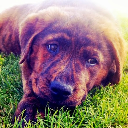 Michele Bush Photo 9