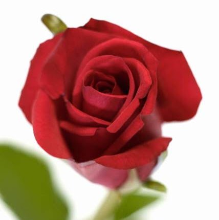 Rose West Photo 16