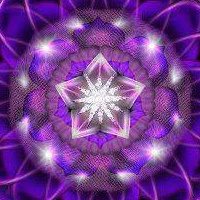 Meredith Fletcher Photo 5