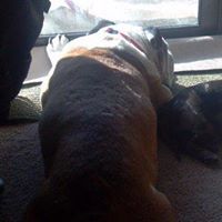 Melissa Stack Photo 17