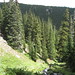 Lorraine Long Photo 41